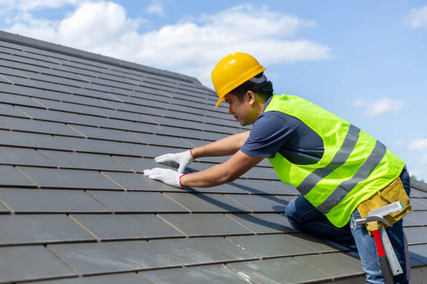Best Roof Gutter Cleaning  in Sharpes, FL
