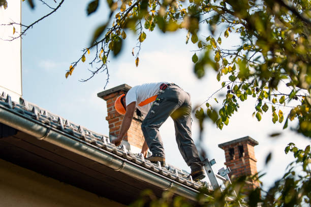 Best Flat Roof Repair Services  in Sharpes, FL