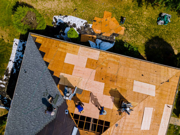 Best Storm Damage Roof Repair  in Sharpes, FL